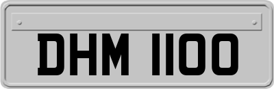 DHM1100