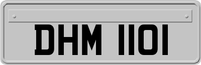 DHM1101
