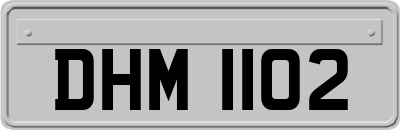 DHM1102