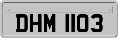 DHM1103