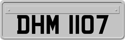 DHM1107