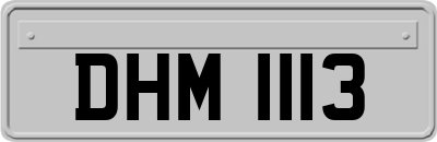 DHM1113