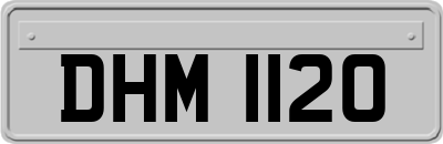 DHM1120