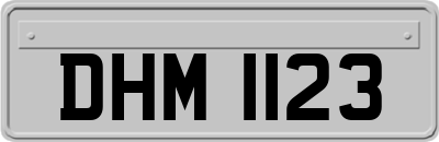 DHM1123
