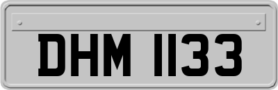 DHM1133
