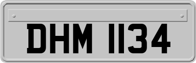 DHM1134