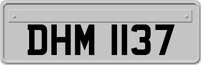 DHM1137