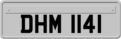 DHM1141