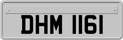 DHM1161