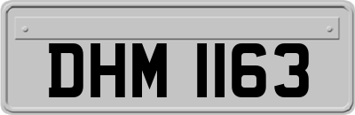 DHM1163