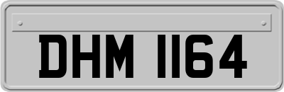 DHM1164
