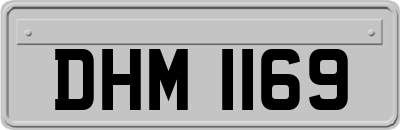 DHM1169