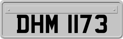 DHM1173