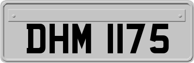 DHM1175