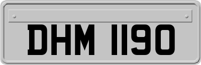 DHM1190