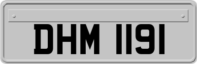 DHM1191