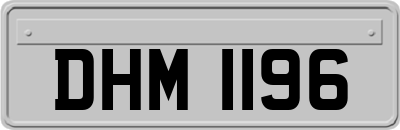 DHM1196