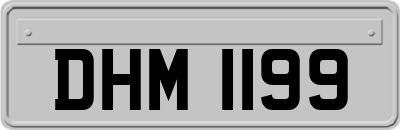 DHM1199