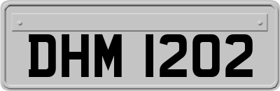 DHM1202