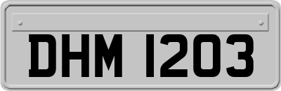 DHM1203