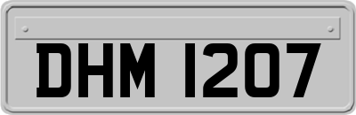 DHM1207