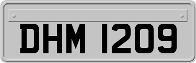 DHM1209