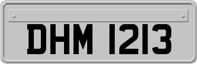 DHM1213