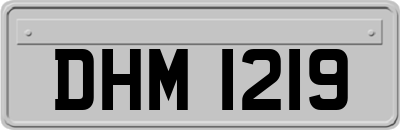 DHM1219