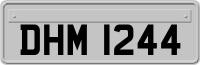DHM1244