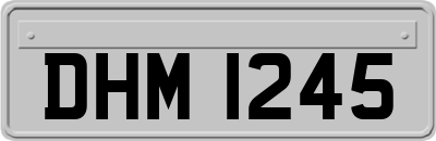 DHM1245