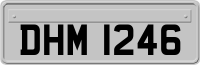 DHM1246