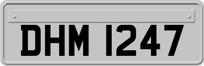 DHM1247