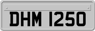 DHM1250