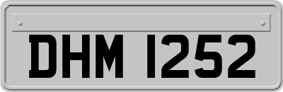 DHM1252