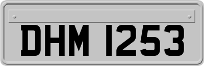 DHM1253