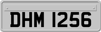 DHM1256