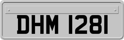 DHM1281
