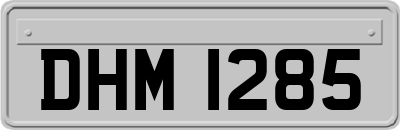 DHM1285