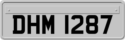 DHM1287