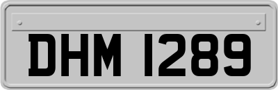 DHM1289