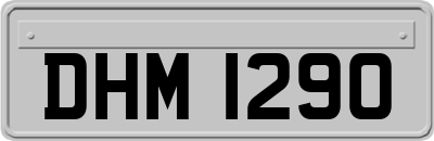 DHM1290