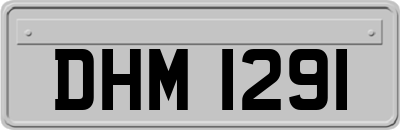 DHM1291