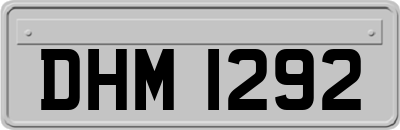 DHM1292