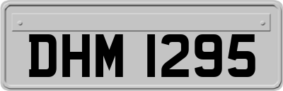 DHM1295