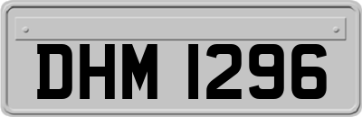 DHM1296