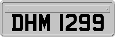 DHM1299