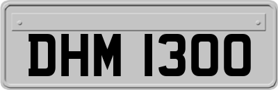 DHM1300