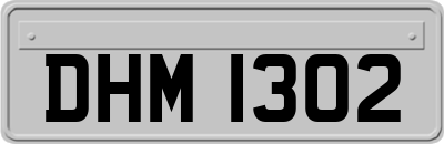 DHM1302