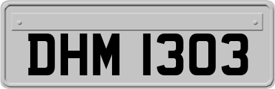 DHM1303