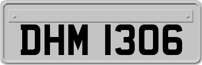 DHM1306
